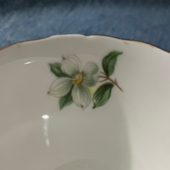 Vintage- Royal Adderley cup & saucer, Canadian provincial flowers series - Picture 7 of 9